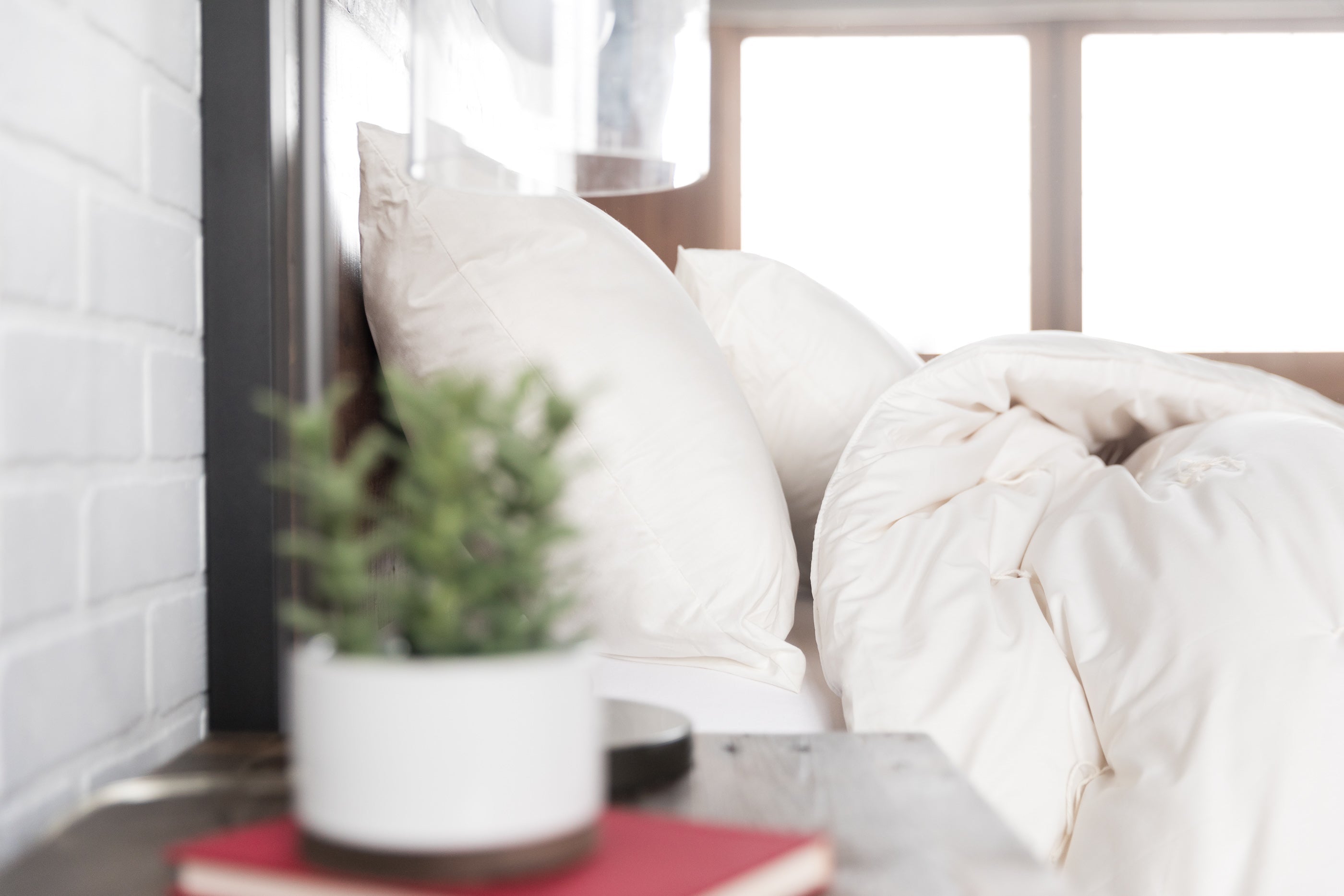 The Natural Beauty of Living with Wool